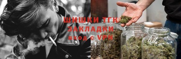 тгк Кинешма