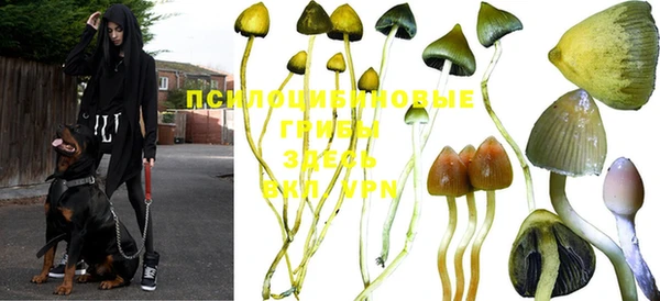 МДПВ Киреевск